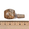 Natural Picture Jasper 3 Hole Guru Beads G-F795-G01-3