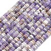 Frosted Natural Amethyst Beads Strands G-K389-C25-01-2
