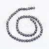 Natural Petrified Wood Bead Strands G-F425-44-2