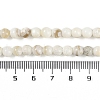 Natural Cultured Freshwater Shell Beads Strands BSHE-H109-03C-5