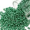 12/0 Glass Seed Beads SEED-A017-2mm-1114-1