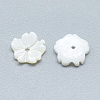 Freshwater Shell Beads SHEL-S275-019-2