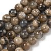 Natural Black Moonstone Beads Strands G-Q183-A01-02-2