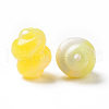 Two Tone Opaque Acrylic Beads OACR-P013-31B-3