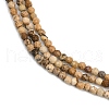 Natural Picture Jasper Beads Strands G-P572-B03-2mm-4