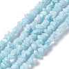 Natural White Jade Chip Beads Strands X-G-G905-02-2