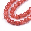 Natural White Shell Mother of Pearl Shell Beads Strands SSHEL-T012-06-3