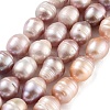 Natural Cultured Freshwater Pearl Beads Strands PEAR-P062-12C-2