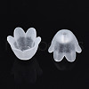 Transparent Acrylic Bead Caps FACR-N005-002-5