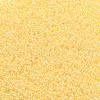TOHO Round Seed Beads X-SEED-TR11-0902-2