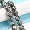 Natural Map Stone/Picasso Stone/Picasso Jasper Beads Strands G-C079-B05-03-2