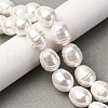 Electroplated Shell Pearl Beads Strands BSHE-H110-01-03-6