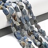 Natural Kyanite Beads Strands G-P497-01C-60-2