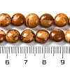 Natural Picture Jasper Beads Strands G-T047-A22-01-5