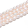 Natural Cultured Freshwater Pearl Beads Strands PEAR-N012-06Y-5