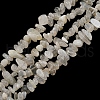 Natural Moonstone Beads Strands G-G0003-B42-2