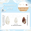   Natural Sea Shell Beads Strands SHEL-PH0001-41-5