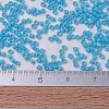 MIYUKI Delica Beads Small X-SEED-J020-DBS0725-4