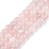 Natural Rose Quartz Beads Strands G-T138-133-4