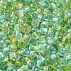 Transparent Glass Round Seed Beads X1-SEED-B001-05A-10-3