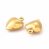 304 Stainless Steel Charms STAS-F289-01G-2