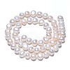 Natural Cultured Freshwater Pearl Beads Strands X1-PEAR-N014-07C-2