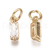 Brass Micro Pave Cubic Zirconia Charms ZIRC-F111-03G-06-2