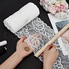 FINGERINSPIRE 10 Yards Nylon Elastic Lace Trim OCOR-FG0002-66B-3