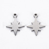 Non-Tarnish 201 Stainless Steel Charms STAS-Q240-059P-1