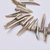 Natural Shell Beads Strands BSHE-P026-25-3