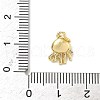 Brass Micro Pave Cubic Zirconia Charms ZIRC-I356-13G-06-3