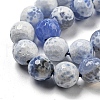 Faceted Natural Fire Crackle Agate Beads Strands X-G-F447-12mm-N07-4