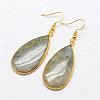 Natural Labradorite Dangle Earrings EJEW-L179-01H-1