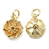 Rack Plating Brass Charms KK-D026-22G-1