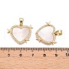 Brass Micro Pave Clear Cubic Zirconia Pendants KK-N254-198G-3