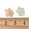 Frosted Acrylic Charms OACR-M023-04A-3