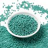 MIYUKI Round Rocailles Beads SEED-G008-RR0412L-2