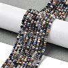 Natural Sodalite Beads Strands G-G189-C02-02-2