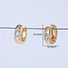 Elegant Oval Brass Hoop Earrings PF7010-3