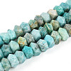 Natural Amazonite Beads Strands G-N347-09A-09-2