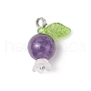 5Pcs 5 Styles Natural Amethyst & Quartz Crystal & Rose Quartz & White Jade & Dyed Malaysia Jade Round Pendants PALLOY-JF03962-01-3