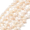 Natural Cultured Freshwater Pearl Beads Strands PEAR-I007-04A-02C-2