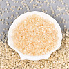 Glass Beads SEED-N007-27F-2