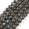 Natural Gemstone Labradorite Round Beads Strands G-E251-33-6mm-01-1