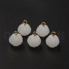 Glass Charms GLAA-Q092-05-1