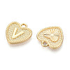 Alloy Pendants PALLOY-N157-001V-NR-2
