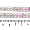Transparent Crackle Glass Beads Strands CCG-L050-01B-02-4
