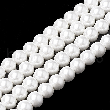 Shell Pearl Beads Strands X-BSHE-S301-10mm-04-1