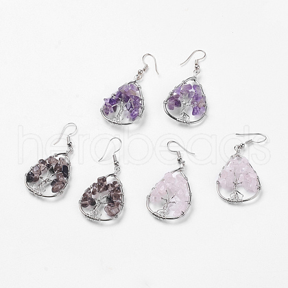 Natural Gemstone Dangle Earrings EJEW-P136-A-1