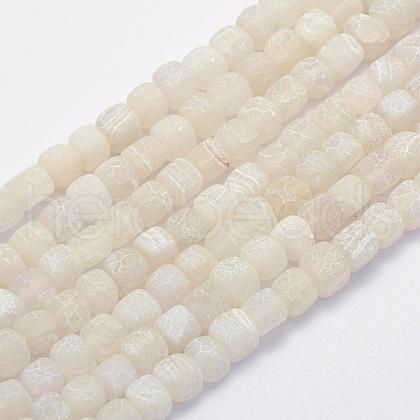 Natural Weathered Agate Beads Strands G-G705-10mm-04-1